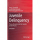 Juvenile Delinquency: Theory, Research, and the Juvenile Justice Process