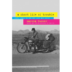 A Short Life of Trouble: Forty Years in the New York Art World