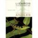 Lizards in an Evolutionary Tree: Ecology and Adaptive Radiation of Anoles