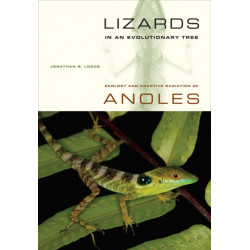Lizards in an Evolutionary Tree: Ecology and Adaptive Radiation of Anoles
