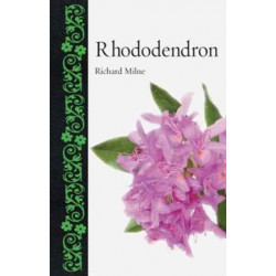 Rhododendron