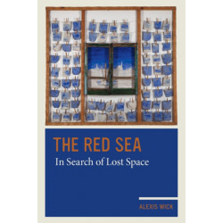 The Red Sea: In Search of Lost Space
