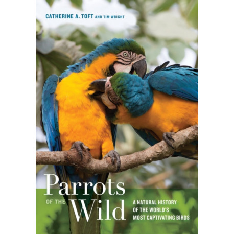 Parrots of the Wild: A Natural History of the World’s Most Captivating Birds