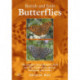 British and Irish Butterflies: The Complete Identification, Field and Site Guide to the Species, Subspecies and Forms
