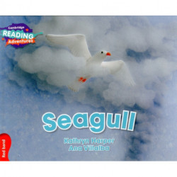 Cambridge Reading Adventures Seagull Red Band