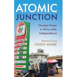 Atomic Junction: Nuclear Power in Africa after Independence