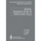Signal Transduction in Testicular Cells: Basic and Clinical Aspects