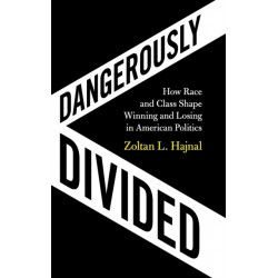 Dangerously Divided: How Race and Class Shape Winning and Losing in American Politics