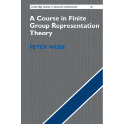 A Course in Finite Group Representation Theory
