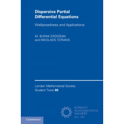 Dispersive Partial Differential Equations: Wellposedness and Applications
