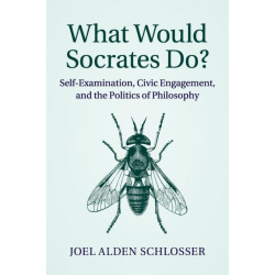 What Would Socrates Do?: Self-Examination, Civic Engagement, and the Politics of Philosophy