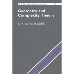 Geometry and Complexity Theory