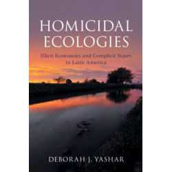 Homicidal Ecologies: Illicit Economies and Complicit States in Latin America