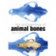 The Archaeology of Animal Bones