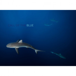 Call of the Blue