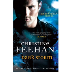 Dark Storm: Number 23 in series