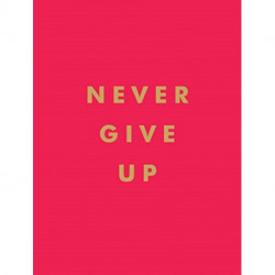 Never Give Up: Inspirational Quotes for Instant Motivation