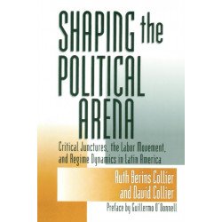 Shaping the Political Arena