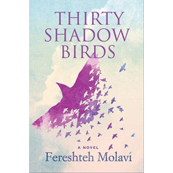 Thirty Shadow Birds