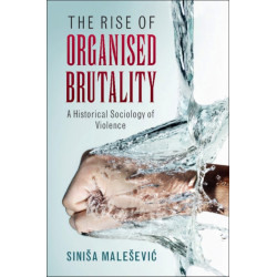 The Rise of Organised Brutality: A Historical Sociology of Violence