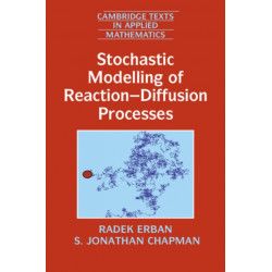 Stochastic Modelling of Reaction–Diffusion Processes