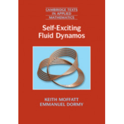 Self-Exciting Fluid Dynamos