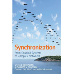 Synchronization: From Coupled Systems to Complex Networks