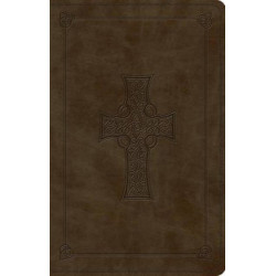 ESV Large Print Value Thinline Bible