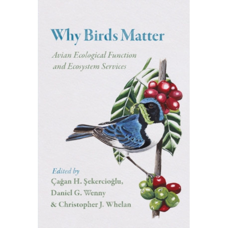 Why Birds Matter: Avian Ecological Function and Ecosystem Services