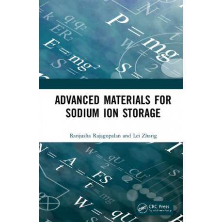 Advanced Materials for Sodium Ion Storage