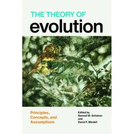 The Theory of Evolution: Principles, Concepts, and Assumptions