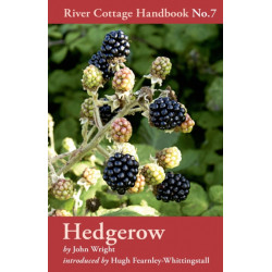 Hedgerow