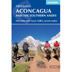 Aconcagua and the Southern Andes: Horcones Valley (Normal) and Vacas Valley (Polish Glacier) ascent routes