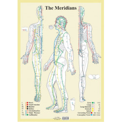 Meridians -- A2