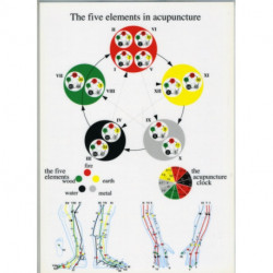 Five Elements in Acupuncture -- A4