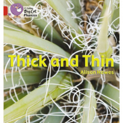 Thick and Thin: Band 02b/Red B