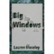 Big Windows