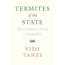 Termites of the State: Why Complexity Leads to Inequality