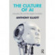 The Culture of AI: Everyday Life and the Digital Revolution