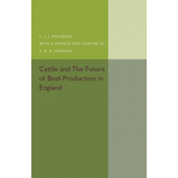 Cattle and the Future of Beef-Production in England
