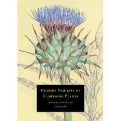 Common Families of Flowering Plants