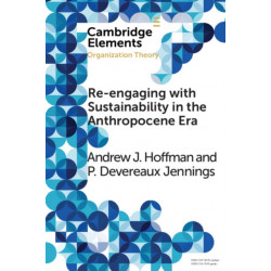 Re-engaging with Sustainability in the Anthropocene Era: An Institutional Approach