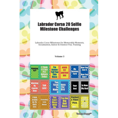 Labrador Corso 20 Selfie Milestone Challenges Labrador Corso Milestones for Memorable Moments, Socialization, Indoor & Outdoor Fun, Training Volume 3