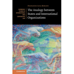 The Analogy between States and International Organizations