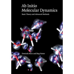 Ab Initio Molecular Dynamics: Basic Theory and Advanced Methods