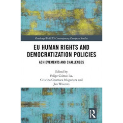EU Human Rights and Democratization Policies: Achievements and Challenges