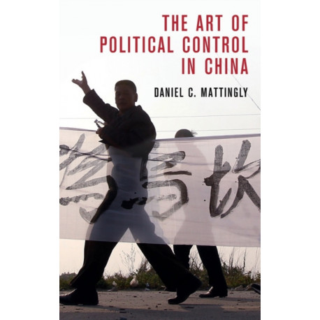 The Art of Political Control in China
