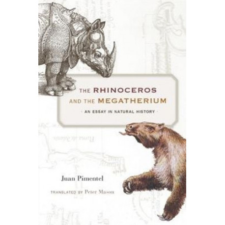 The Rhinoceros and the Megatherium: An Essay in Natural History