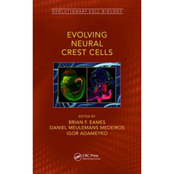 Evolving Neural Crest Cells