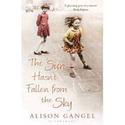 The Sun Hasn't Fallen From the Sky